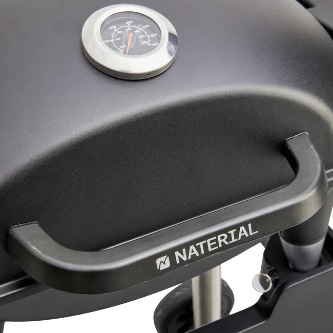 Grill elektryczny 2200 W Hyperion Naterial - obrazek 2